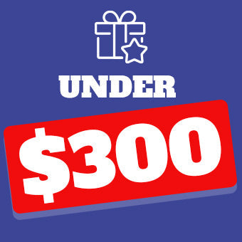 Gifts Under $300