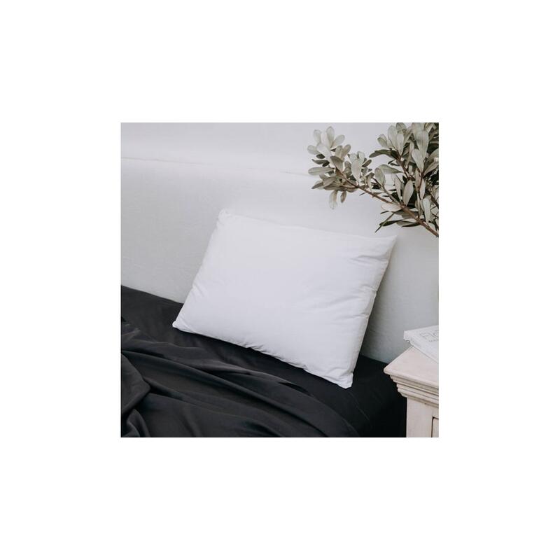 Protectiva Cotton Bamboo Stretchknit Pillow Protector Twin Pack - Standard