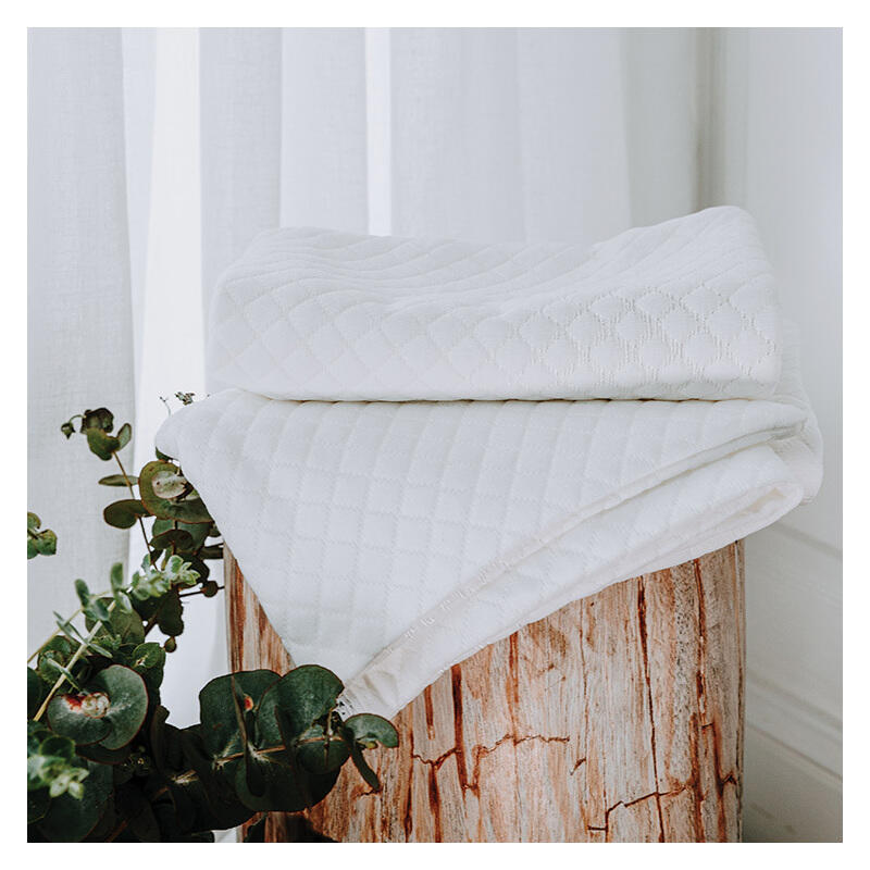 Sleepwise Pillow Protector - King Size