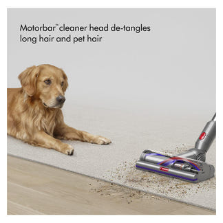 Dyson V15 2026 Detect Absolute Stick Vacuum