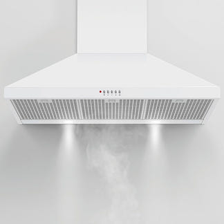 Fisher & Paykel 90cm Canopy Rangehood - White