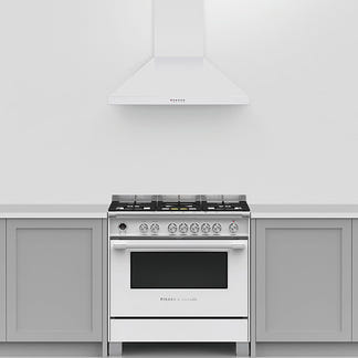Fisher & Paykel 90cm Canopy Rangehood - White