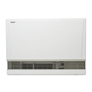 Rinnai EnergySaver 1005FT Gas Heater