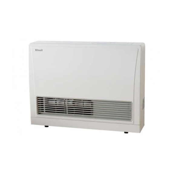 Rinnai Energy Saver Gas Heater with Direct Flue Kit