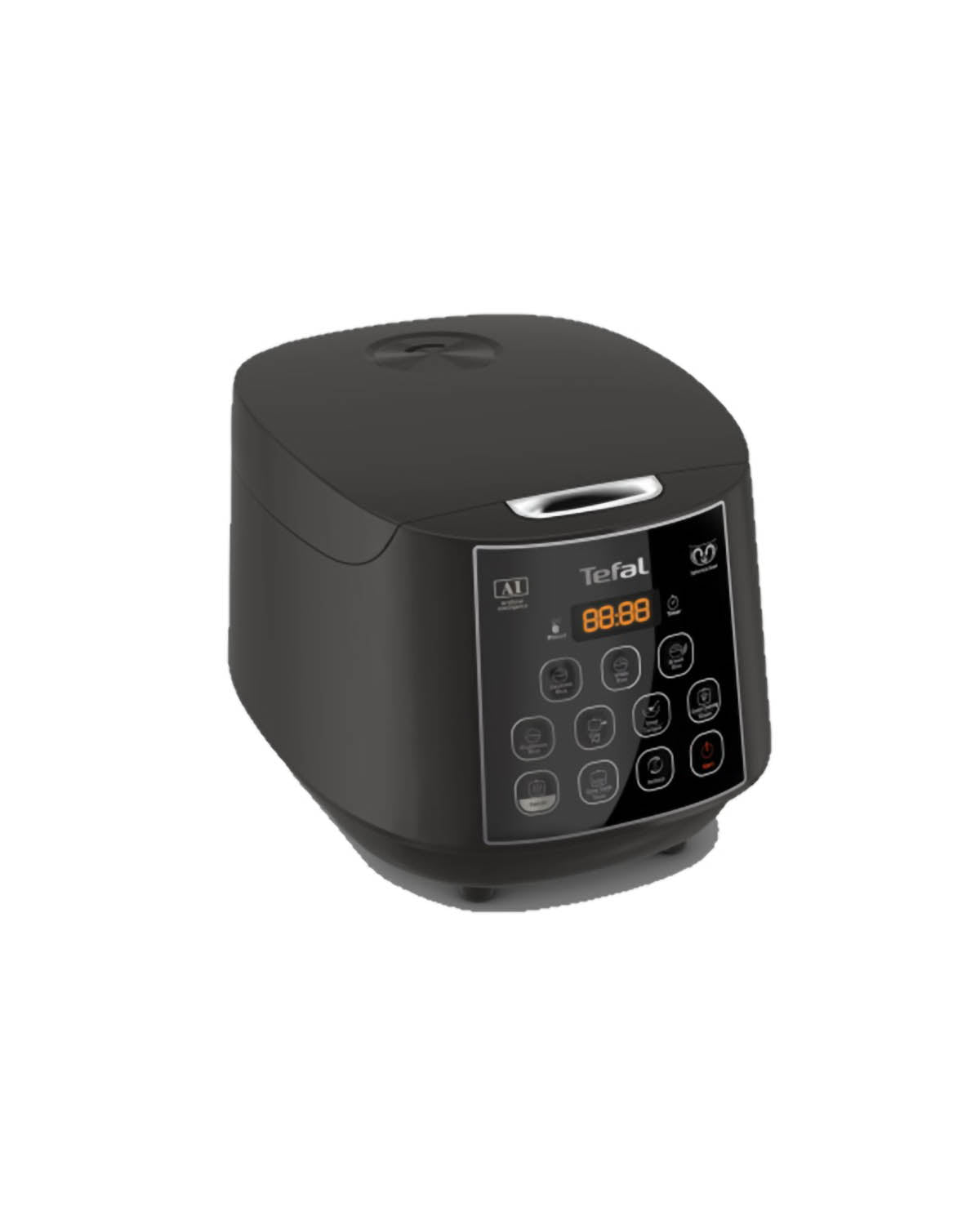 Tefal Easy Rice and Slow Cooker Plus - Black